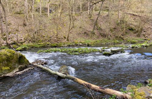 Ferienwohnung Sternenhimmel - Foto 23