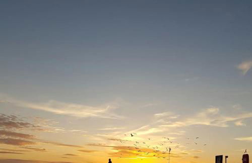 Horizon View - Photo 44