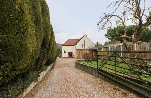 Pringles Orchard - Photo 49