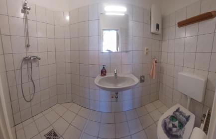 Wo die Fledermaus fliegt - Foto 17