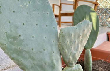 Li Cuppulati House Agrustos - Foto 41