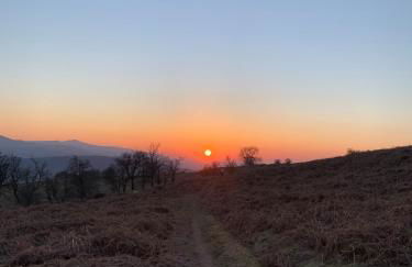 8 Crickhowell Cottages, Standard St, Central Crickhowell - Photo 39