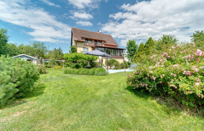 W Starym Sadzie - Foto 39