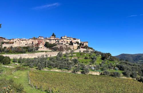 Casa Solatii Montefioralle - Foto 5
