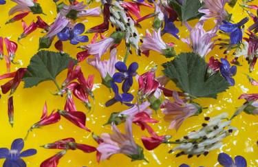 Casale Dionisia, Santa Maria di Castellabate - Foto 62