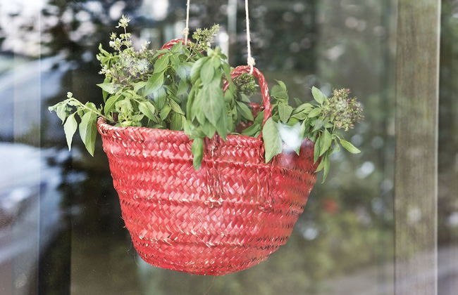 Dara Hamra - Photo 28