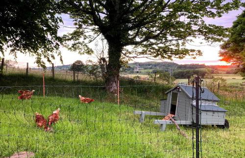 Penny End, Mosser - Western Lakes and great walks - Foto 13