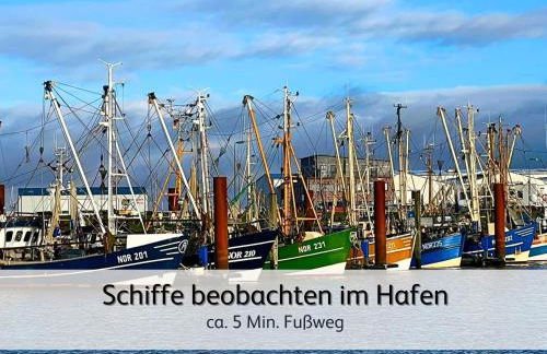 Ideal für Familien & Fellnasen, strandnah - Foto 48