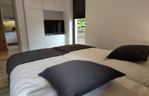 Apartament Szumi Las Kletno - Foto 2