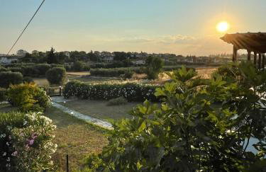 Carefree Dreams : Cottage in Flogita Chalkidiki - Foto 20