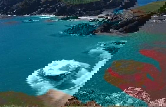 Cosy Shepherds Hut nr Kynance Cove - Foto 13