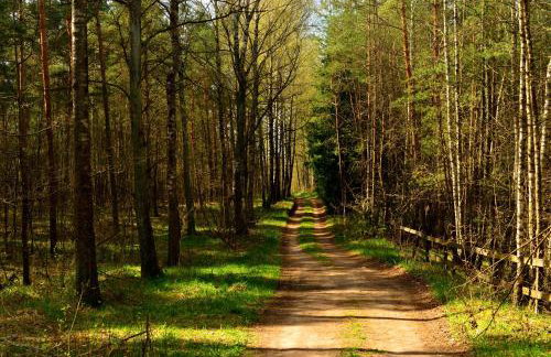 Mazury - Giżycko - Harsz - Domki - ApartMazury Osada - Foto 14