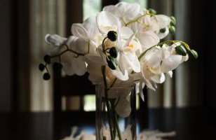 Villa Eleni Meskla - Foto 35