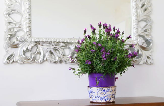 Villa Angelina - Foto 38