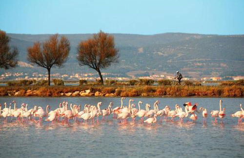 Le Cosy Des Goélands, T2 proche de la mer - Foto 23