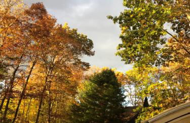 Amazing Poconos House . Sauna/Hot Tub/Private Pool - Foto 50