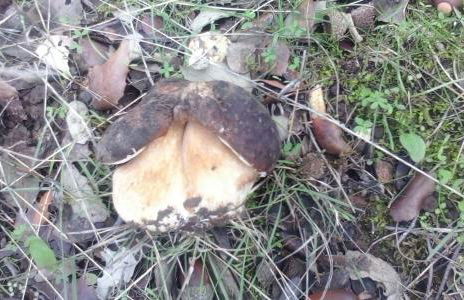 La Era de San Blas - Foto 42