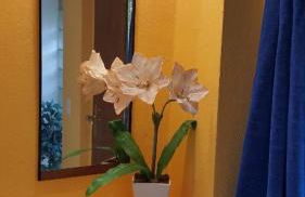 Ferienhaus Monarda - Foto 16