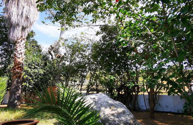 Villa Irene - Foto 58