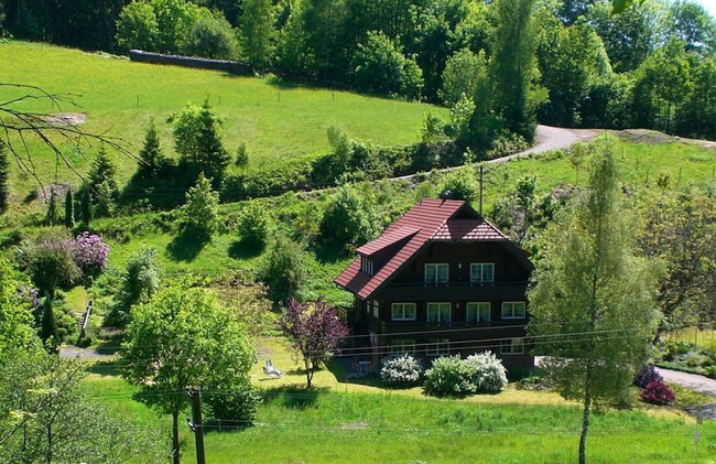 Hideaway Near Black Forest - Photo 46