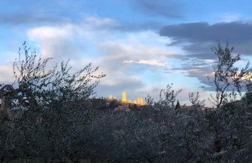 Podere Bellavista - Foto 73