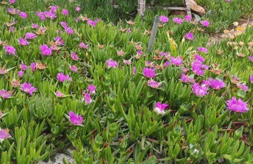 Obiteljska kuća za odmor Futura - Photo 4