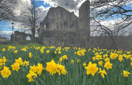 Sunflower Lodge, Lido Leisure Park, Knaresborough - Foto 24