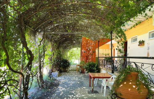 Skala Eresos Paradise Studios - Foto 5