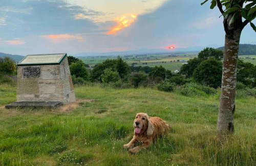 Foresters 4 Bedroom Apartment - Foto 58