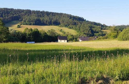 Domek Limba - Foto 14