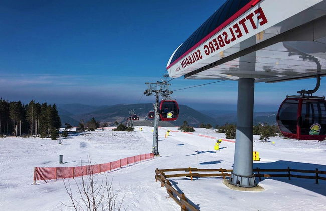 Magnificent Apartment in Willingen With Balcony - Photo 67