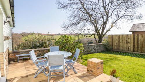 Forget-me-not - Foto 2