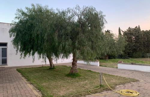 Masseria Bosco Mazza - Foto 61