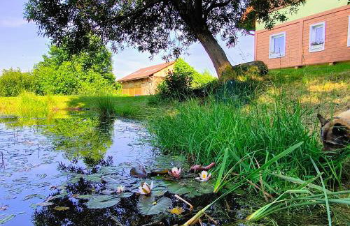 ApaLuza - Góry Izerskie & Karkonosze - Pool - Horses - Nature - Foto 35