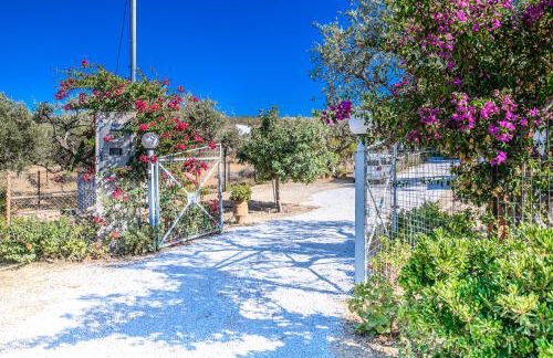 Delightful Seaside Villa - Foto 47