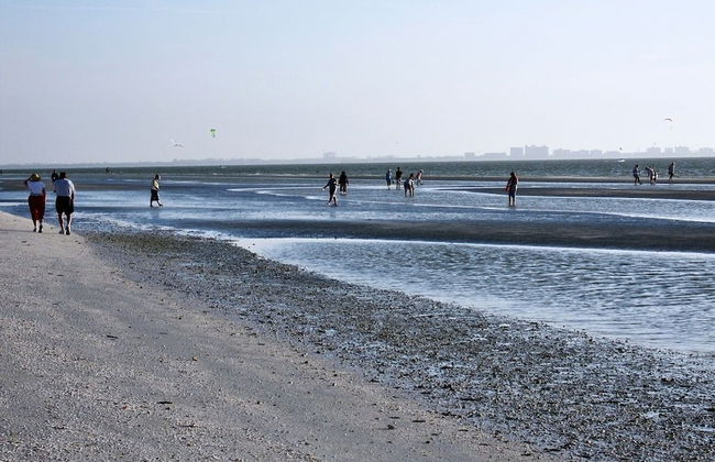 Sandalfoot Beachfront Condominium - Foto 18