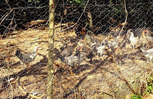 Agriturismo Le Cerinaie - Foto 75