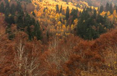 Dulce y luminoso ap en Gessa - Foto 26