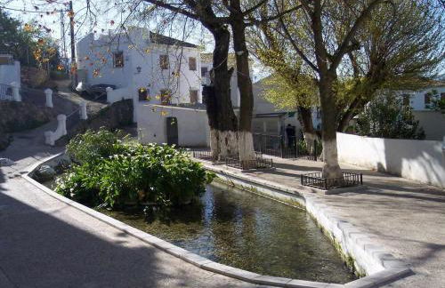 Sierra Alcaide - Foto 6