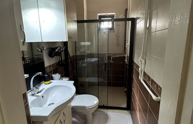 Green Bird Suit - Foto 59