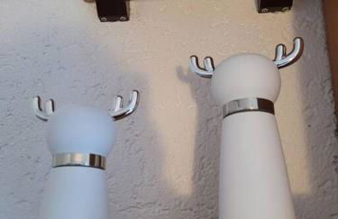 Rheinauszeit - Foto 10