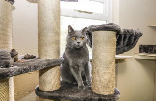 Orchard House Cottage - Foto 26