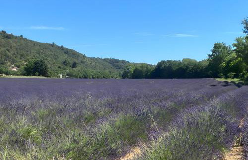 Gîte Lavandin 1 - Foto 16