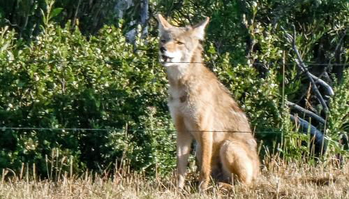 4412 Mackinaw - Foto 5