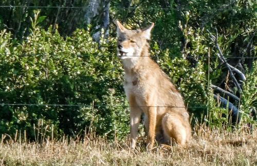 4412 Mackinaw - Foto 5