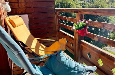 T1 La marmotte Saint Sorlin d'Arves - Photo 4