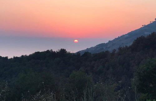 Il Cerro Agriturismo Zagarese - Photo 47