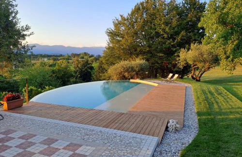 GATTO IN VIGNA - Foto 47