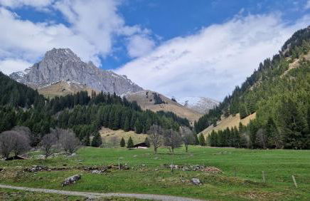 Apt A04 terrasse, village et ski à pied avec sauna, fitness et tennis - Photo 50