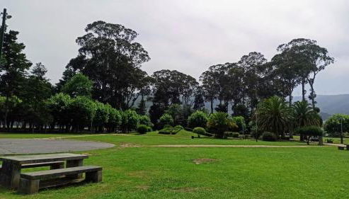 Piso luminoso y acogedor en primera línea de playa Covas Viveiro - Foto 4, Garden, Garden view